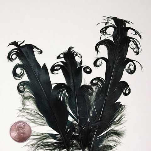 Black Nagorie Goose Feathers, 5" to 7" (10/Pack)