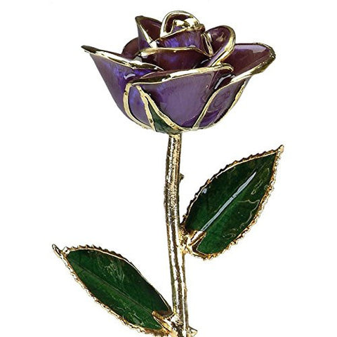 Deep Purple Laquered 24k Gold Dipped Long Stem Genuine Rose In Red Gift Box