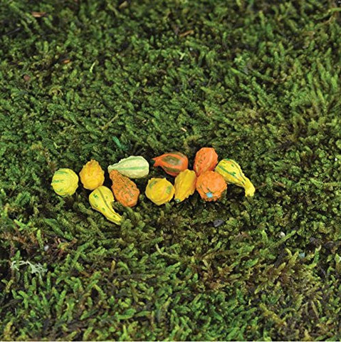 Fairy Garden - Mini Gourds - Assorted Set of 11