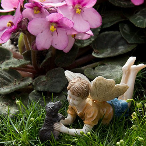 Miniature Fairy Garden Limited Edition Boy Fairy With Dog Ross and Winston