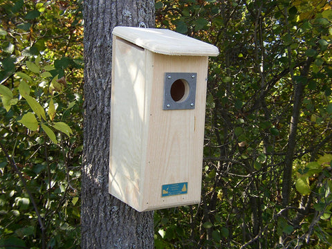 Coveside Hairy, Red-headed & Red-bellied Woodpecker House